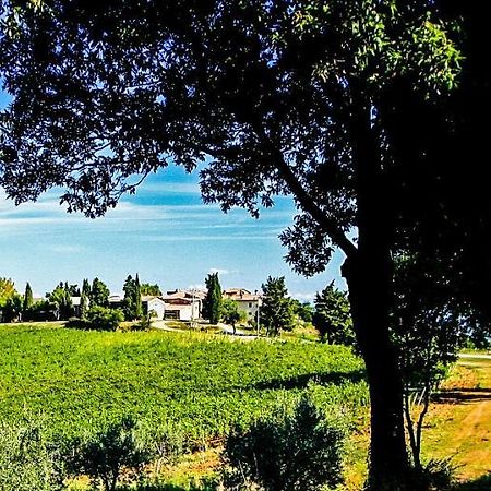 Fattoria La Torre Apartment ซานจีมิญญาโน ภายนอก รูปภาพ