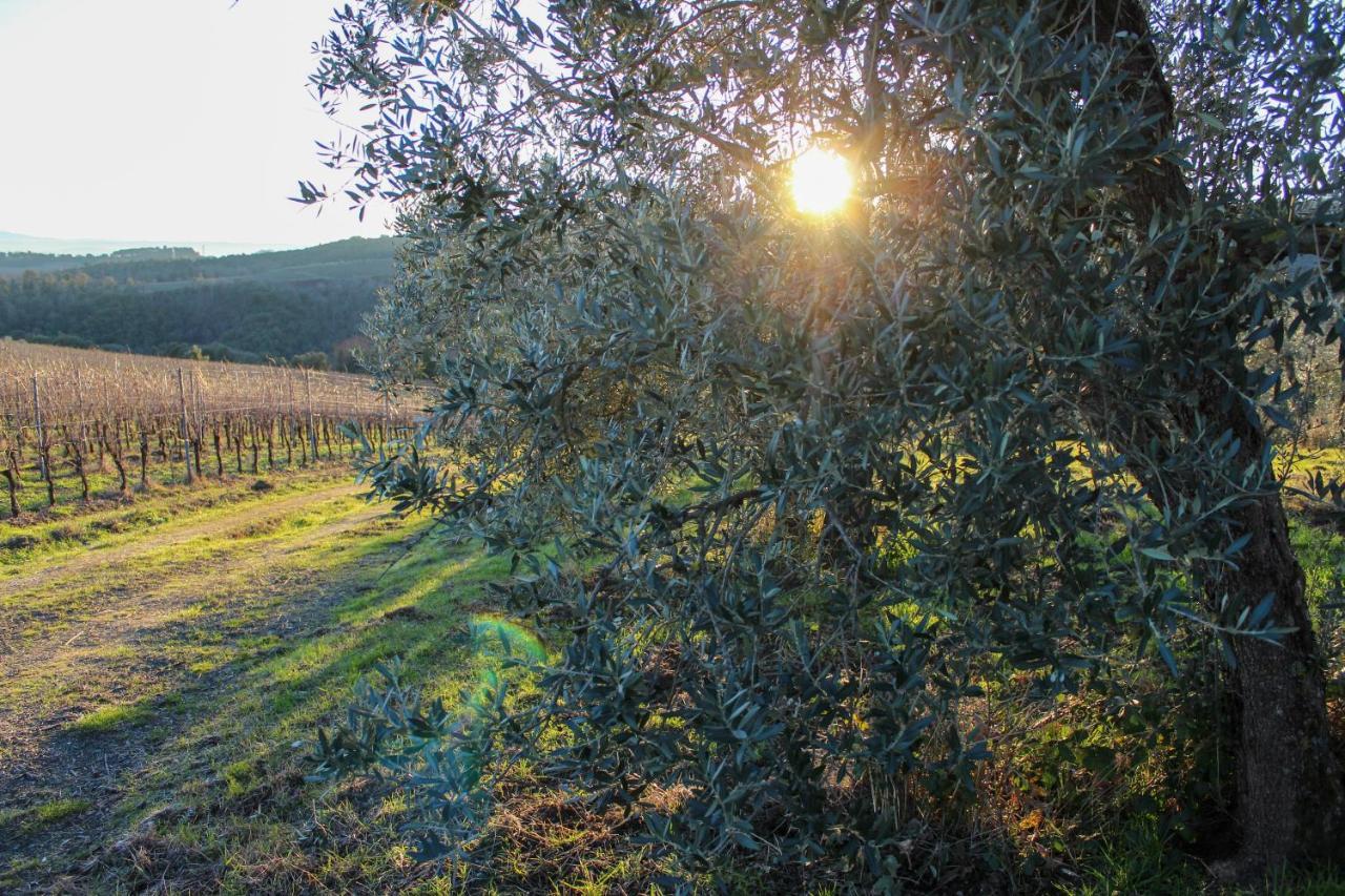 Fattoria La Torre Apartment ซานจีมิญญาโน ภายนอก รูปภาพ